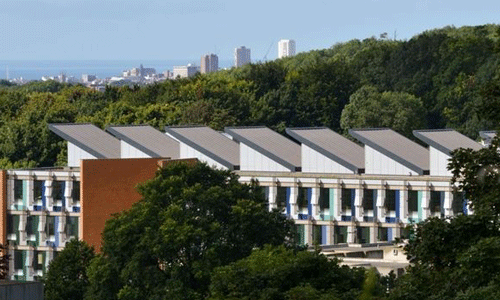 布莱顿大学留学艺术专业