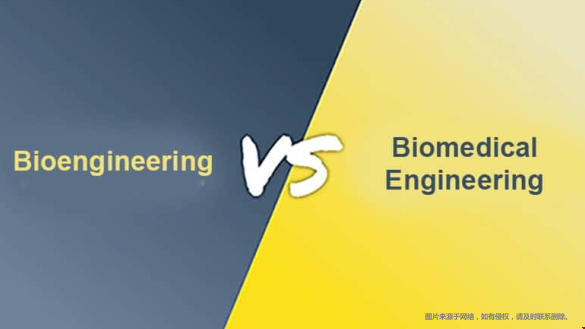 美国生物工程和生物医学工程专业有何差异？