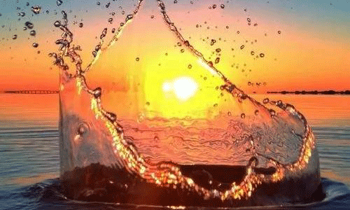 国外摄影专业留学作品集详解