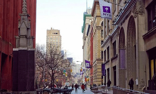 纽约大学本科专业有哪些？