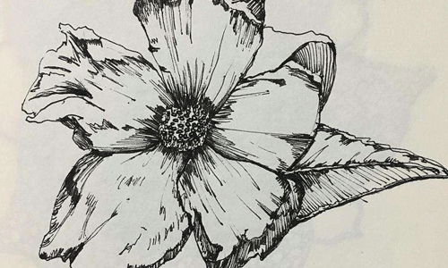 国外绘画专业作品集及院校推荐