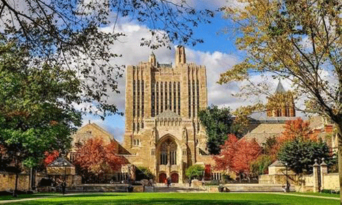 美国纯艺术专业院校有哪些？