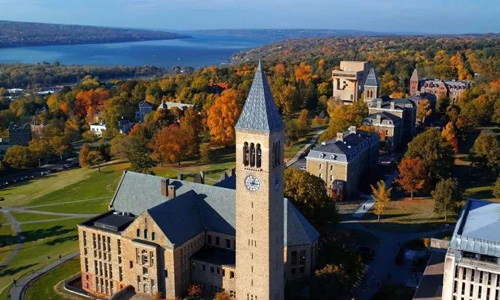 康奈尔大学研究生专业有哪些？