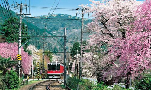 日本动漫专业留学课程有哪些？