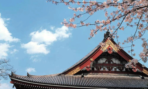 日本艺术留学有哪些优势？