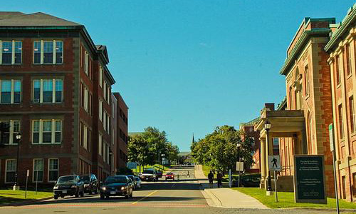 布伦瑞克造型艺术学院申请条件