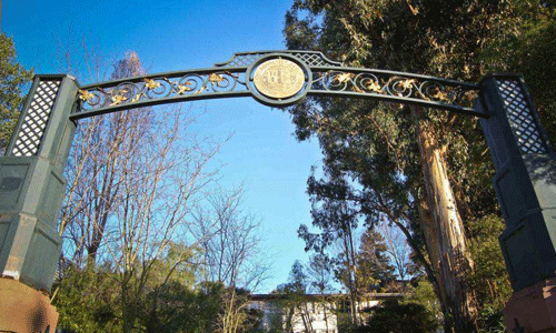 加州艺术学院CalArt纯艺术专业申请要求