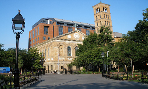 纽约大学有哪些热门专业？