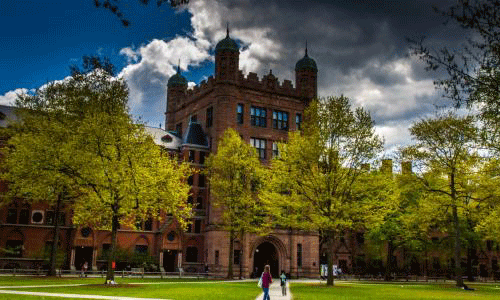 耶鲁大学有哪些优势专业？