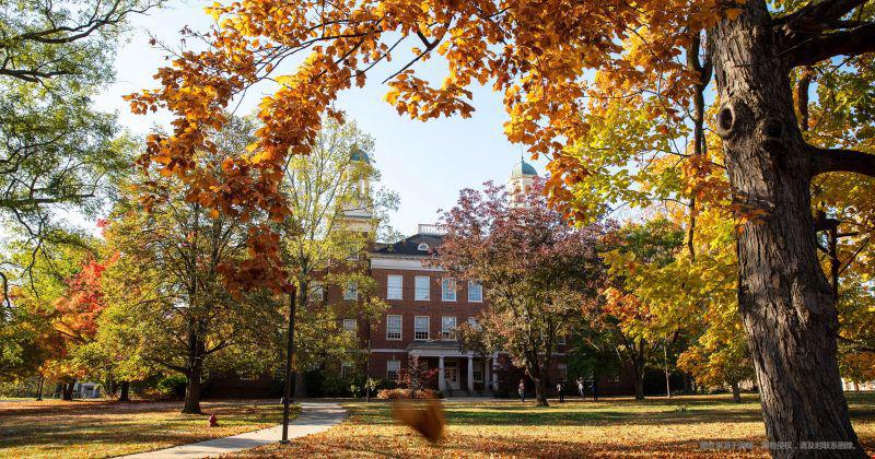 干货!美国留学申请文书写作突出特点总结