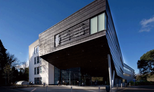 布鲁内尔大学艺术专业