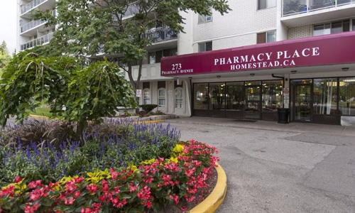 瑞尔森大学留学专业有哪些？