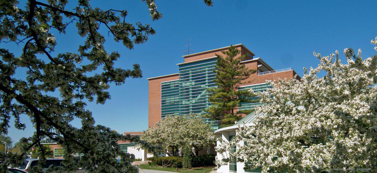 埃默里大学不同学院的情况是什么样的？