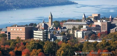 美国康奈尔大学什么专业好？