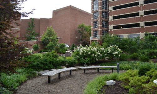 宾夕法尼亚州立大学有哪些优势专业？