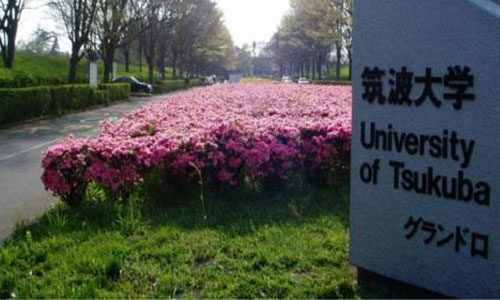 日本筑波大学纯艺术专业留学院校
