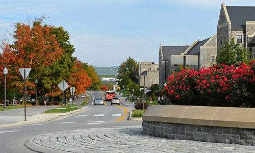 弗吉尼亚理工大学全解析