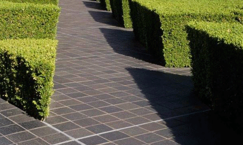 美国留学景观专业学院有哪些