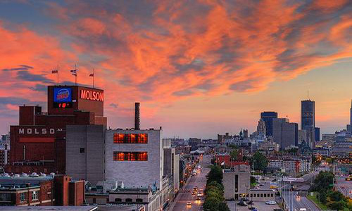 加拿大设计专业的具体分析