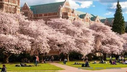 美国科技公司最喜欢的大学是哪几所？