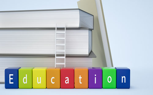 成人高考正式志愿怎么填