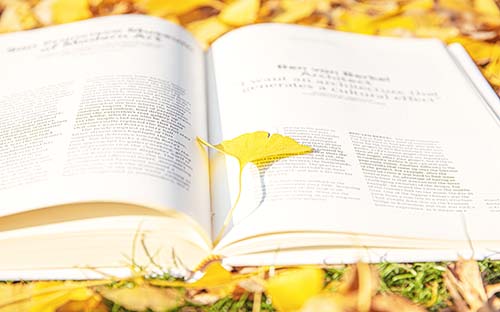 杭州成人高考能出国留学吗？