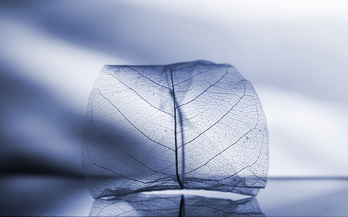 成人高考会计专业能从事哪些工作？