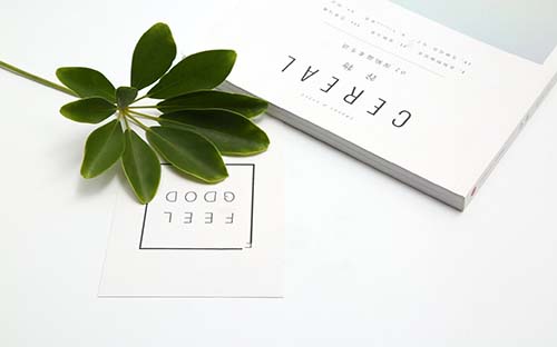 专升本成人高考成绩什么时候出来？