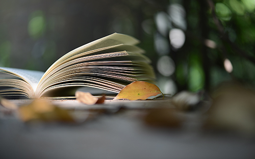 成人高考过分数线后怎么处理？