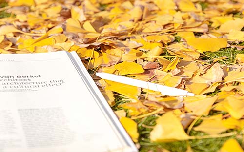 成人高考代考是违规行为吗？