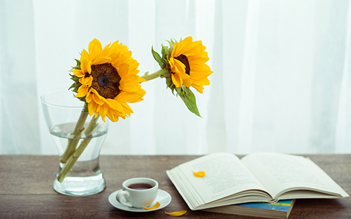 成人高考专升本可以毕业的条件？