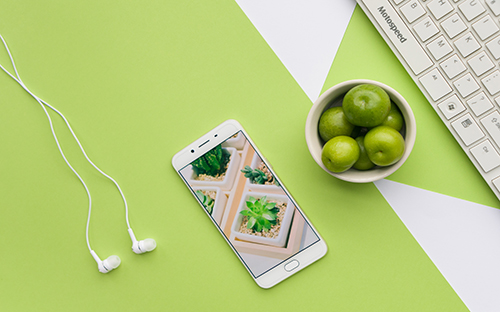 成人高考准考证打印时忘记登陆密码怎么办？