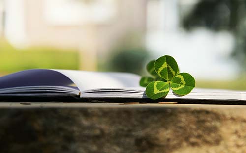 福建省成人高考本科提升流程有哪些？