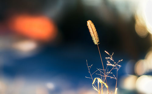 成人高考是怎么录取考生的？