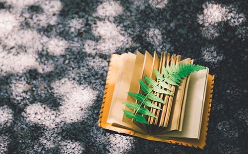 成人高考只能应届生考吗？