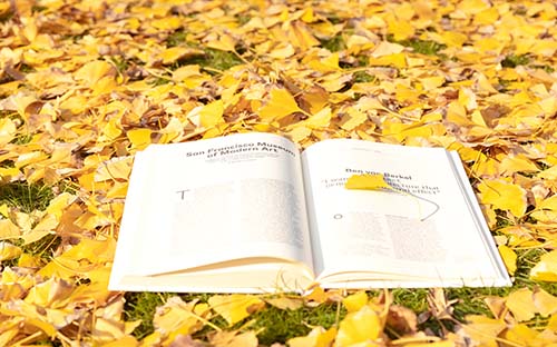 广东成人高考英语考纲有什么要求？