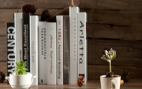 四川成人高考怎么报名？