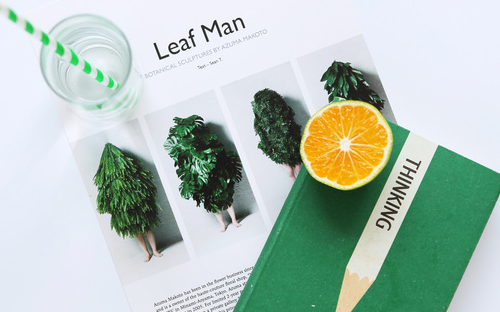 浙江成人高考缴费入口是什么？