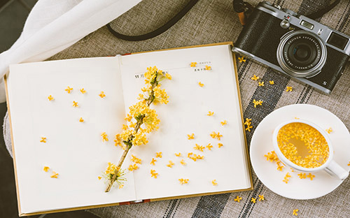 成人高考需要注意哪些考试事项？