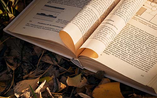 成人高考学历提升的前景如何？