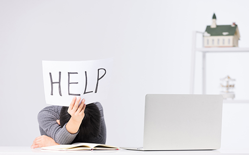 四川成人高考本科专业有哪些？