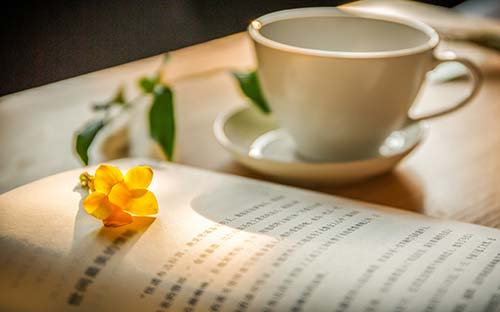 小学文化能参加成人高考吗？