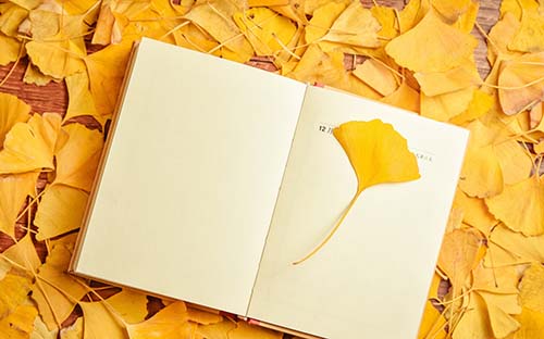 【2023年成人高考】山东成人高考录取分数什么时候出？