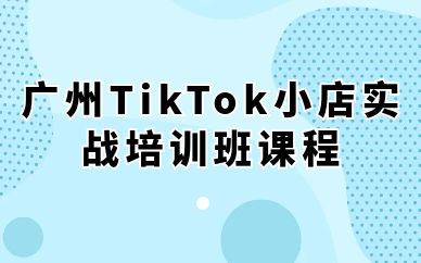 广州TikTok小店实战培训班课程