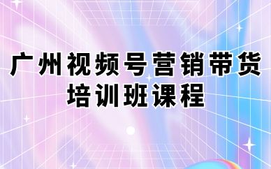 广州视频号营销带货培训班课程