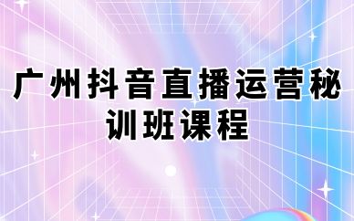 广州抖音直播运营秘训班课程
