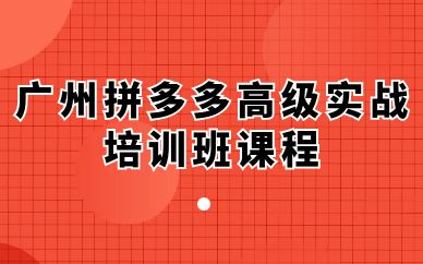 广州拼多多高级实战培训班课程